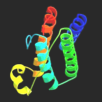 Estructura de la leptina