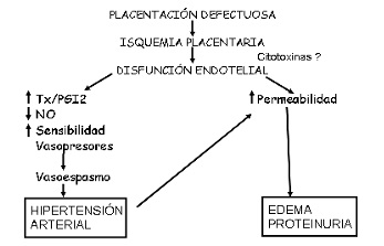esquema preeclampsia