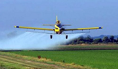 pesticidas salud
