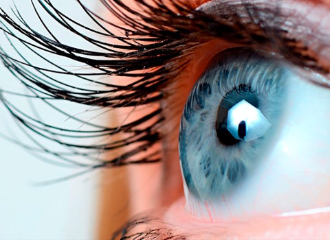 bioquimica ocular
